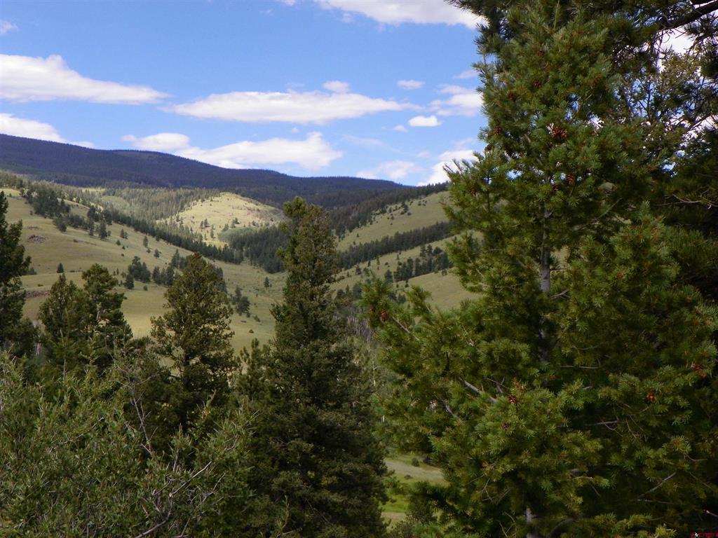 Tbd County Road 38-ff Saguache CO 81149