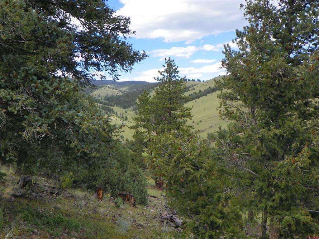 Tbd County Road 38-ff Saguache CO 81149
