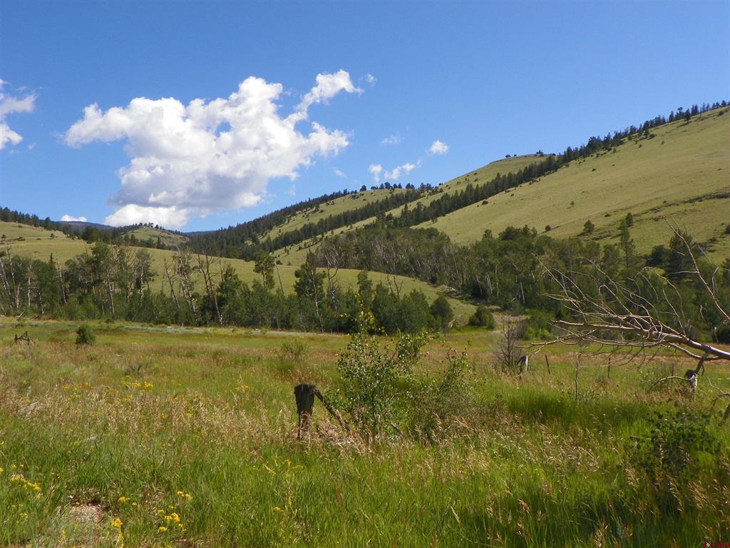 Tbd County Road 38-ff Saguache CO 81149