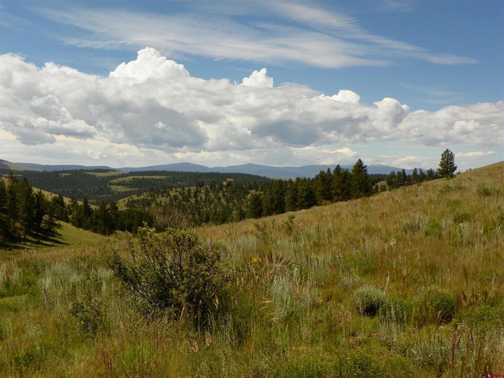 Tbd County Road 38-ff Saguache CO 81149