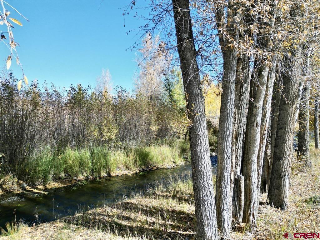 205 Spring Meadows Trail Gunnison CO 81230
