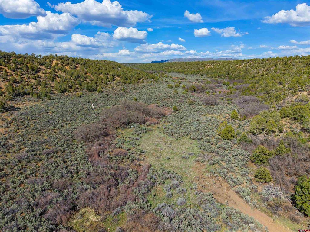 Tbd Cr 136 Hesperus CO 81326