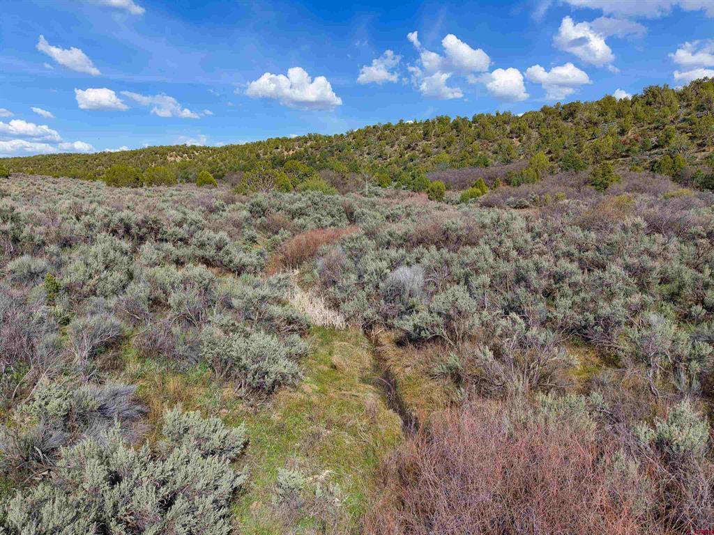 Tbd Cr 136 Hesperus CO 81326