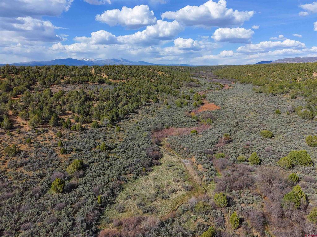 Tbd Cr 136 Hesperus CO 81326