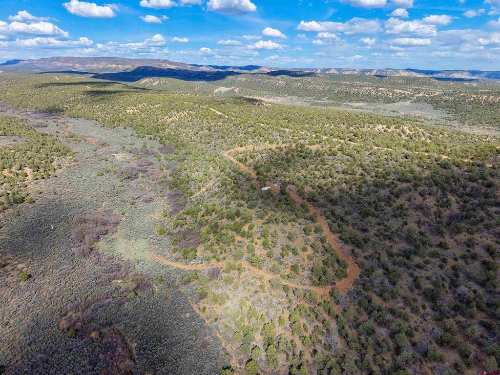 Tbd Cr 136 Hesperus CO 81326