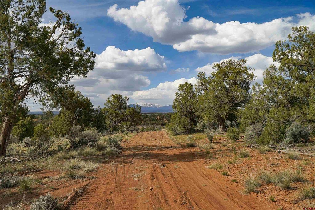 Tbd Cr 136 Hesperus CO 81326