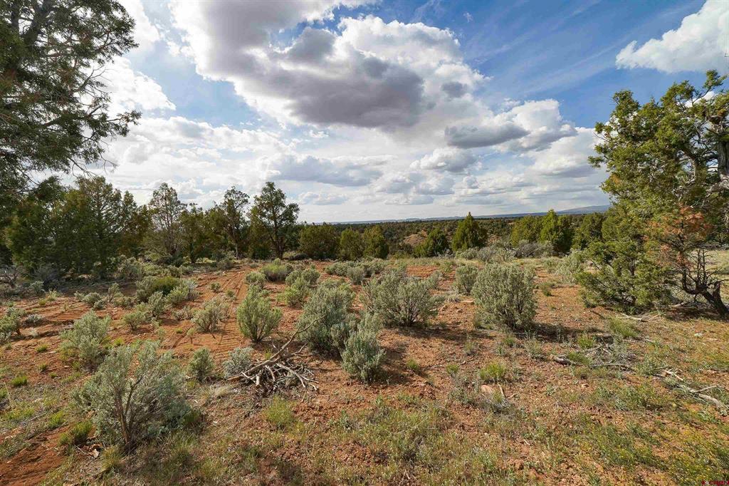 Tbd Cr 136 Hesperus CO 81326