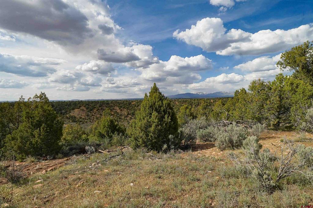 Tbd Cr 136 Hesperus CO 81326