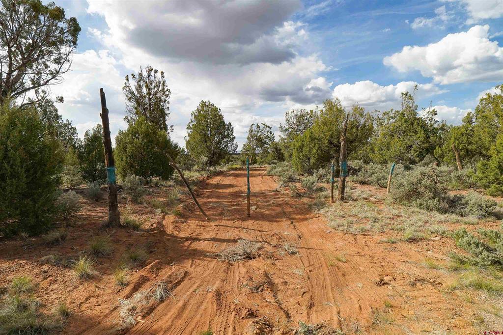 Tbd Cr 136 Hesperus CO 81326