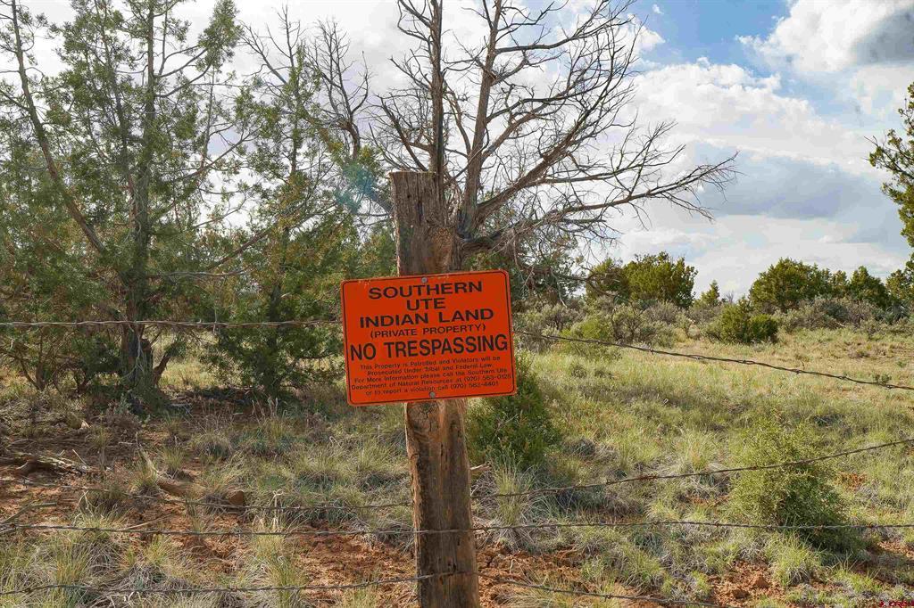 Tbd Cr 136 Hesperus CO 81326