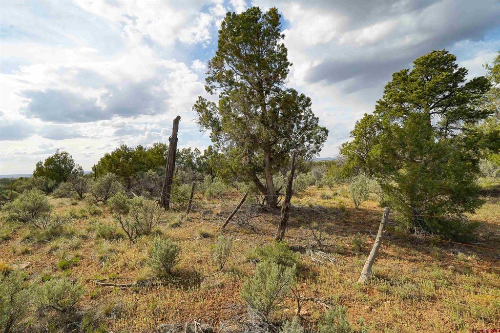 Tbd Cr 136 Hesperus CO 81326