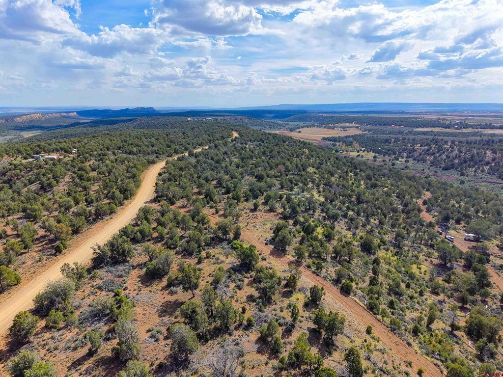 Tbd Cr 136 Hesperus CO 81326