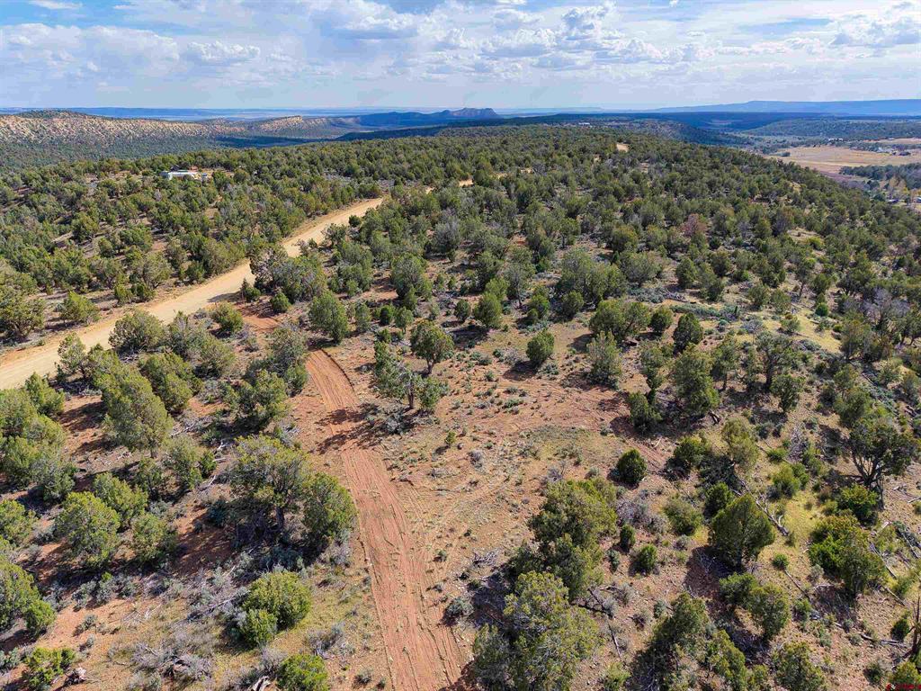 Tbd Cr 136 Hesperus CO 81326
