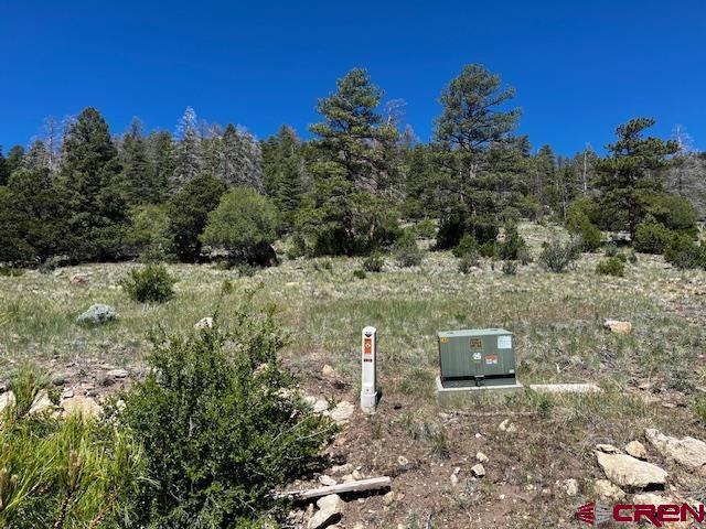 0 Ellingwood Drive South Fork CO 81154
