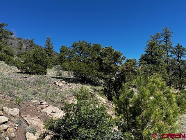 0 Ellingwood Drive South Fork CO 81154