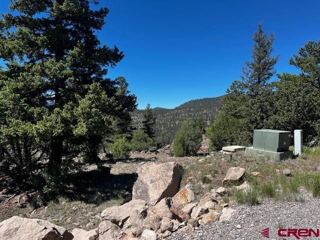 0 Ellingwood Drive South Fork CO 81154