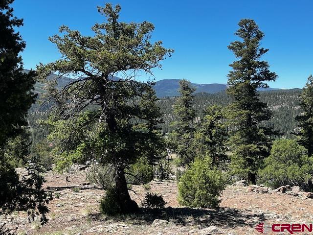 0 Ellingwood Drive South Fork CO 81154