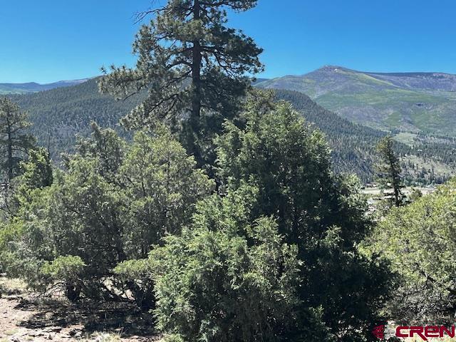 0 Ellingwood Drive South Fork CO 81154