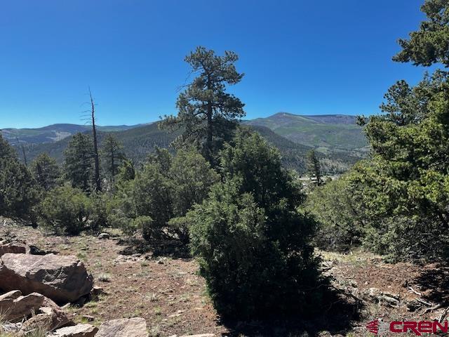 0 Ellingwood Drive South Fork CO 81154