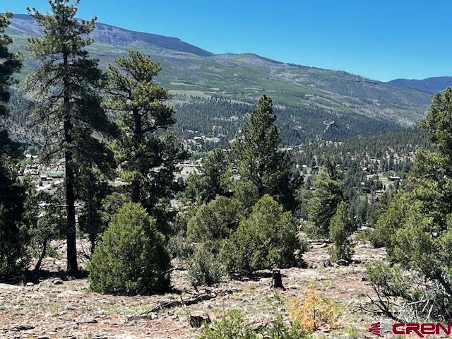 0 Ellingwood Drive South Fork CO 81154