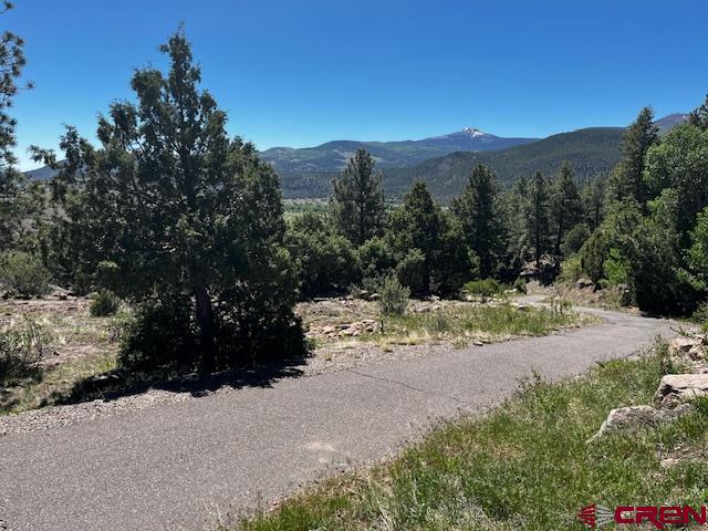 0 Ellingwood Drive South Fork CO 81154