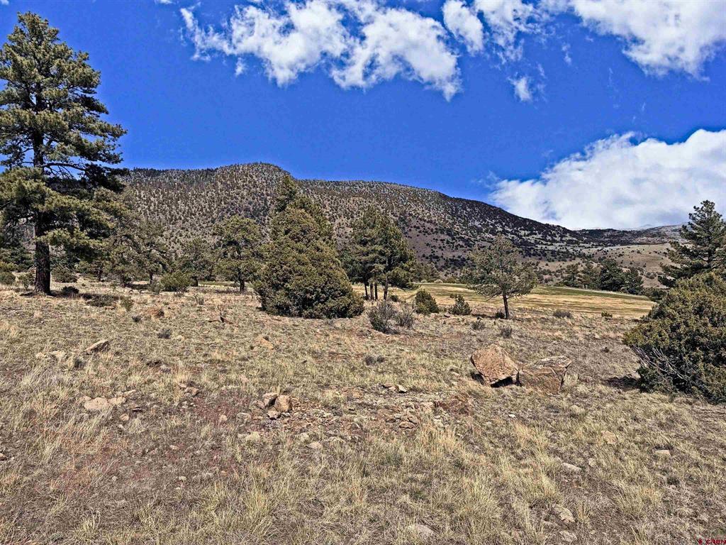 688 Blanca Vista South Fork CO 81154