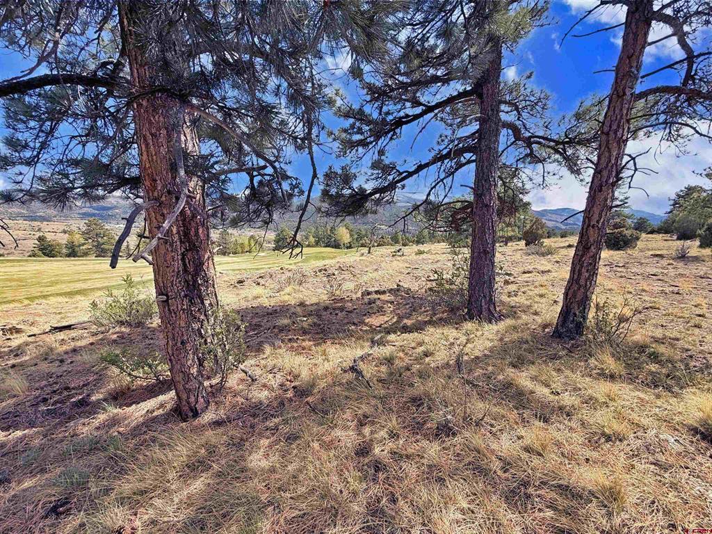 688 Blanca Vista South Fork CO 81154