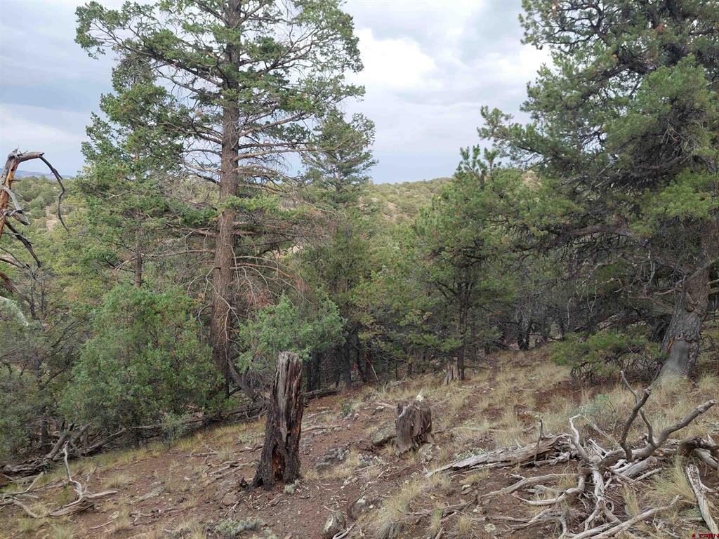 222 Sunrise Road South Fork CO 81154