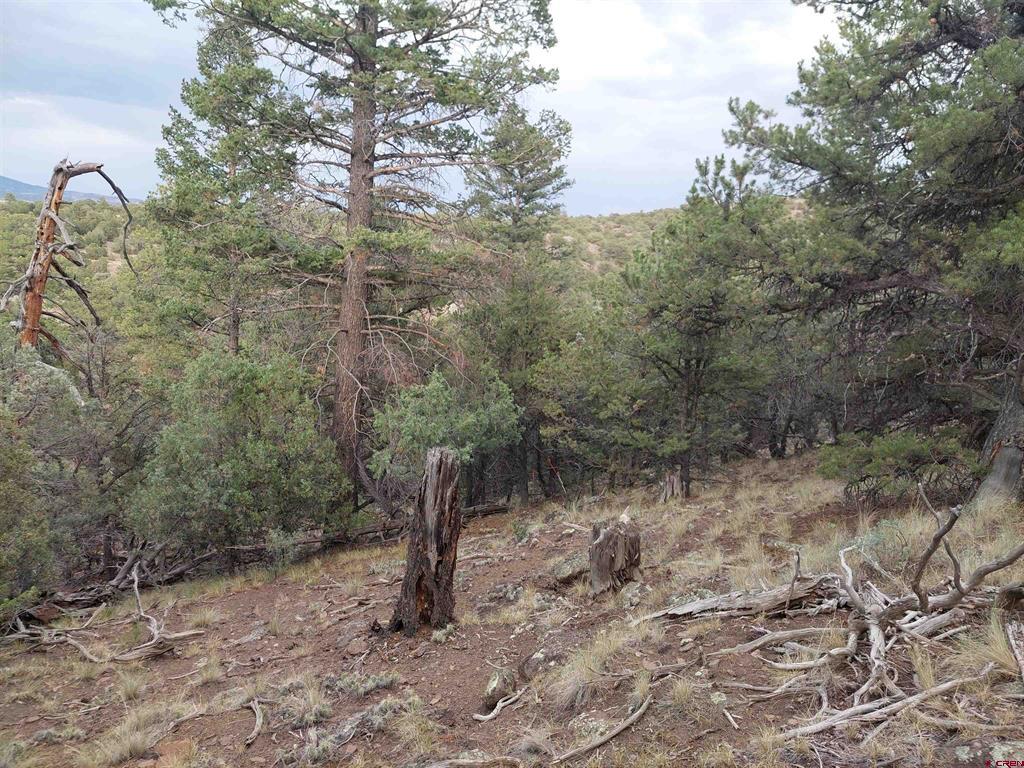 222 Sunrise Road South Fork CO 81154