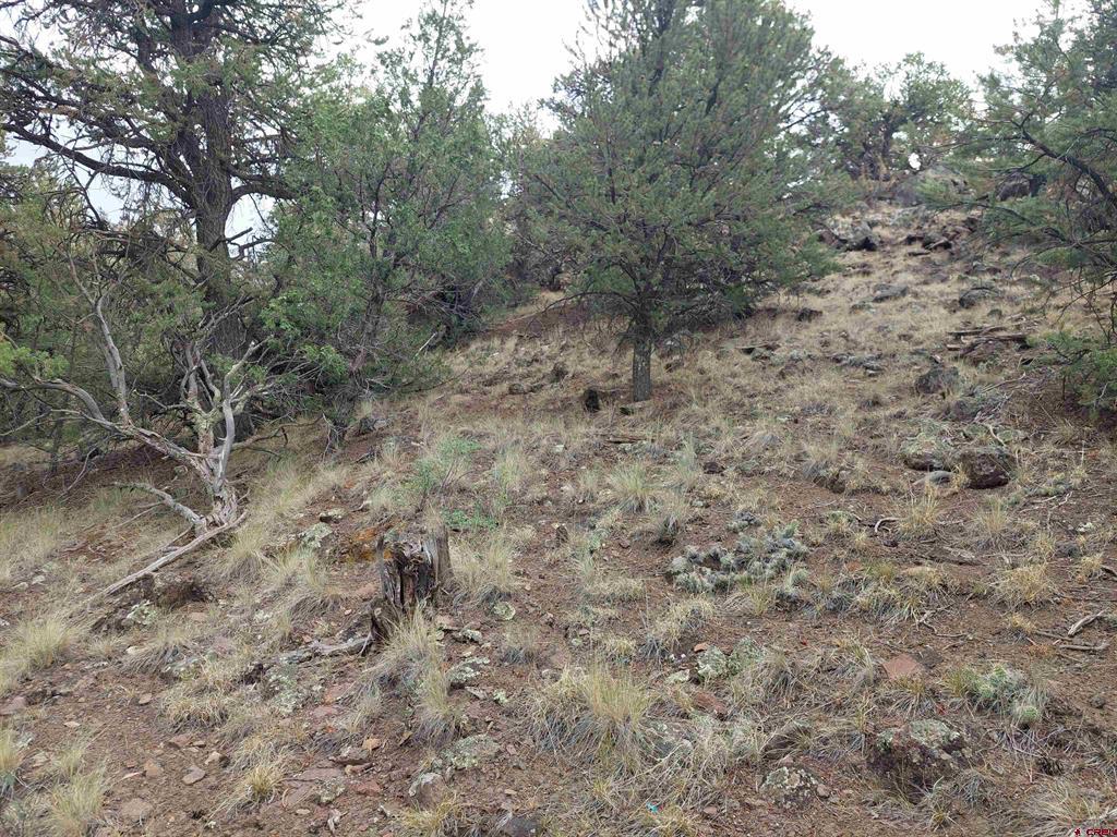 222 Sunrise Road South Fork CO 81154