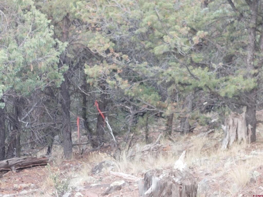 222 Sunrise Road South Fork CO 81154