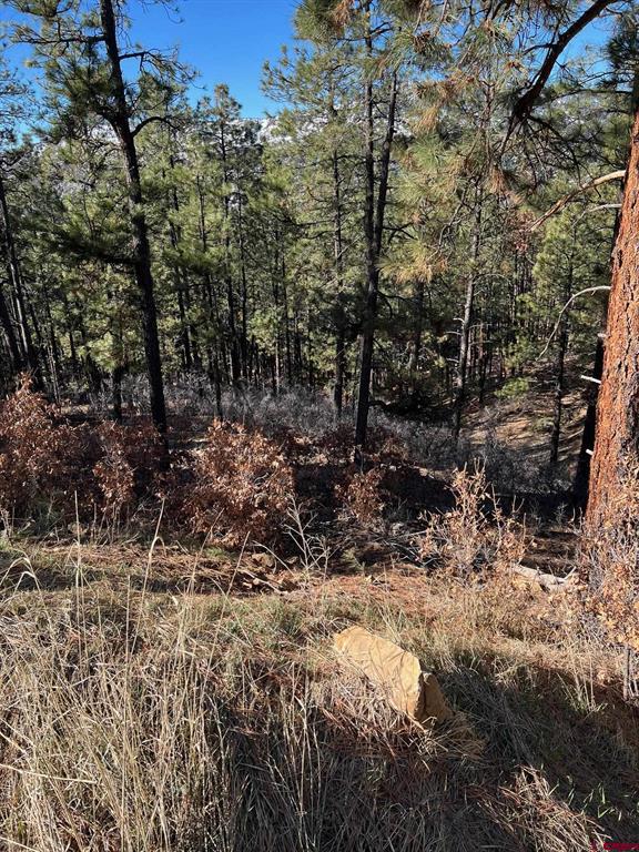 238 Deer Ridge Drive Bayfield CO 81122