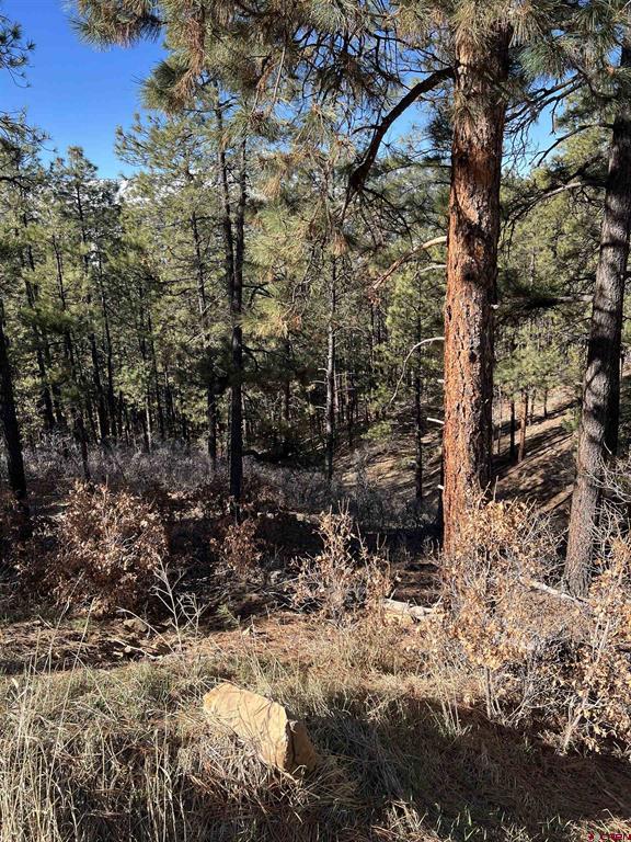 238 Deer Ridge Drive Bayfield CO 81122