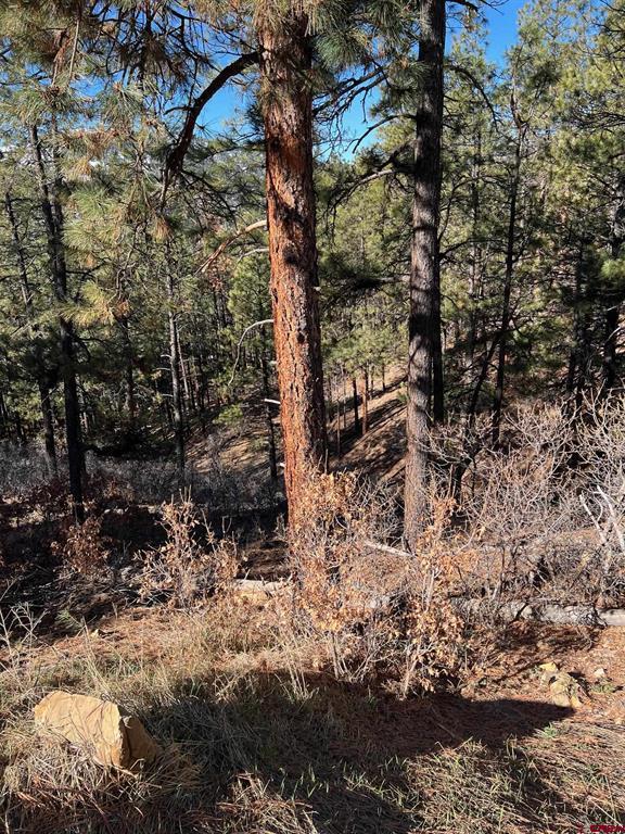 238 Deer Ridge Drive Bayfield CO 81122