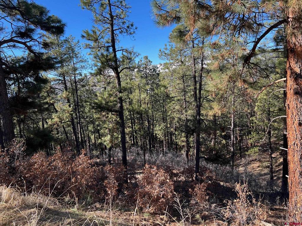 238 Deer Ridge Drive Bayfield CO 81122
