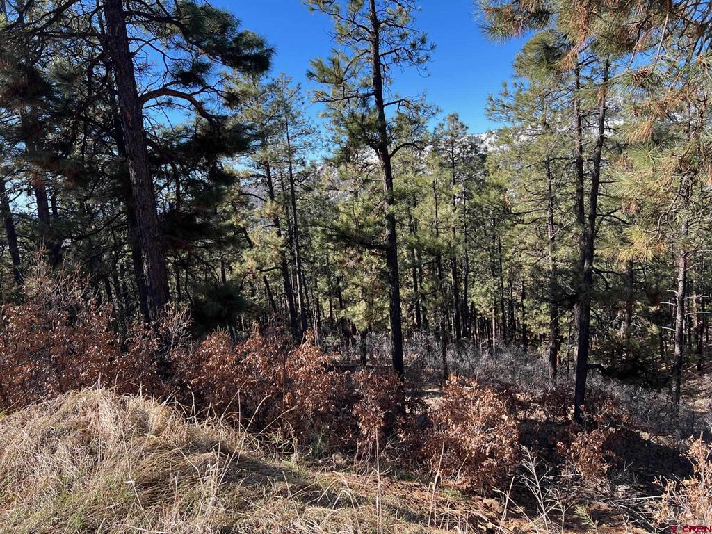 238 Deer Ridge Drive Bayfield CO 81122