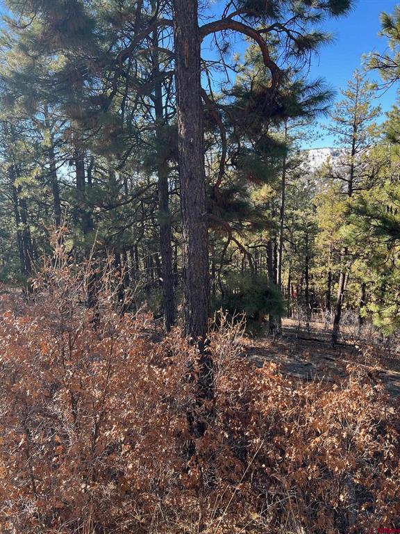 238 Deer Ridge Drive Bayfield CO 81122