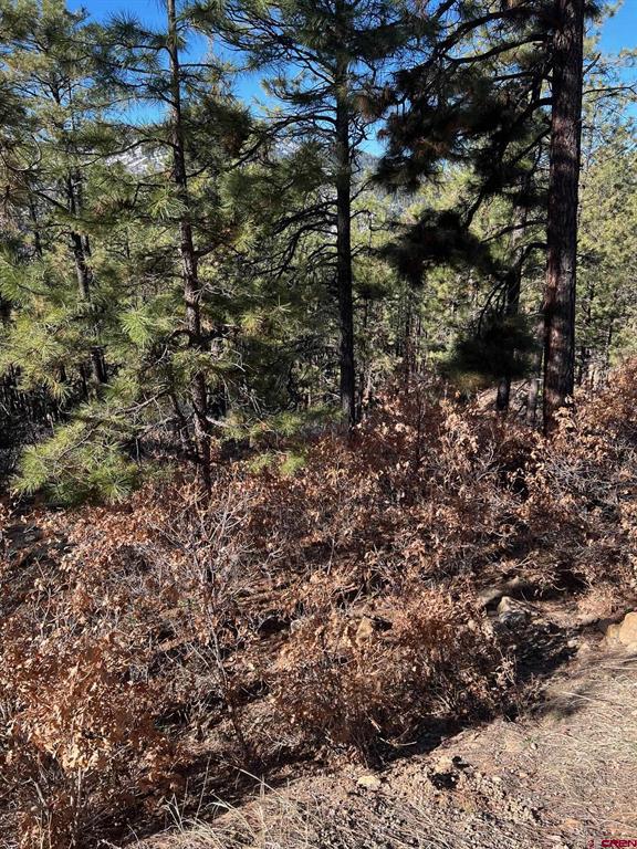 238 Deer Ridge Drive Bayfield CO 81122