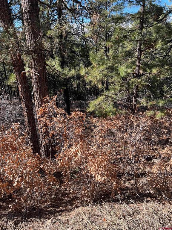 238 Deer Ridge Drive Bayfield CO 81122