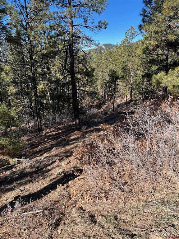 238 Deer Ridge Drive Bayfield CO 81122
