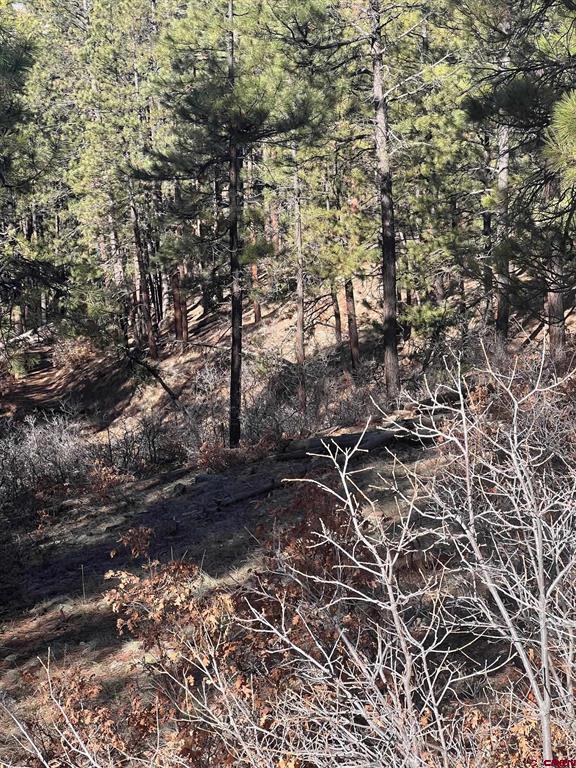 238 Deer Ridge Drive Bayfield CO 81122