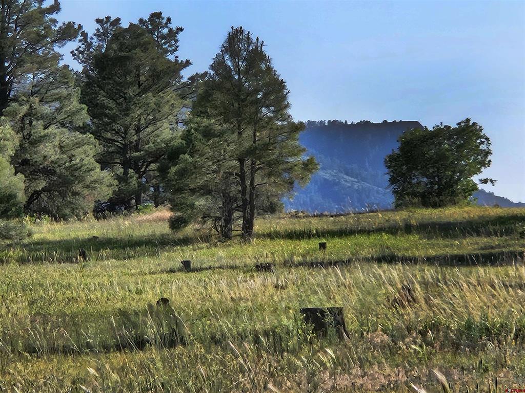 326 Lake Street Pagosa Springs CO 81147