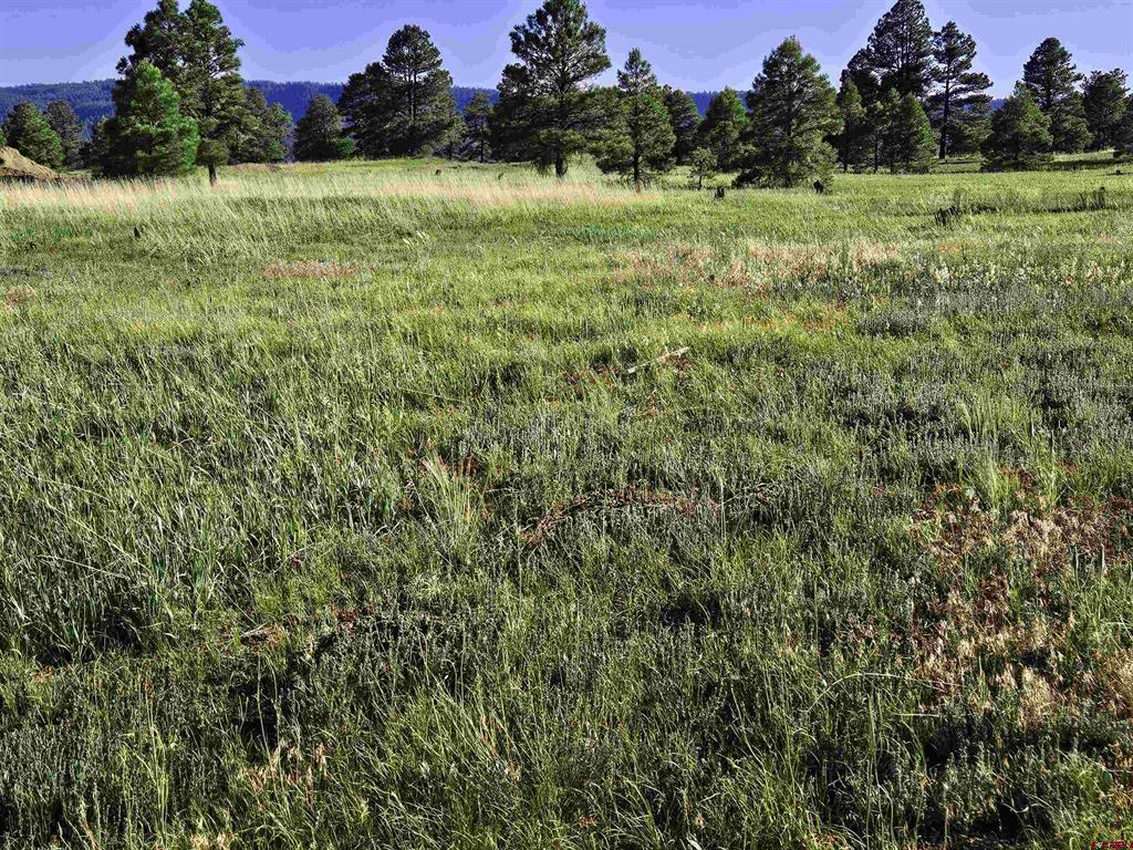 326 Lake Street Pagosa Springs CO 81147