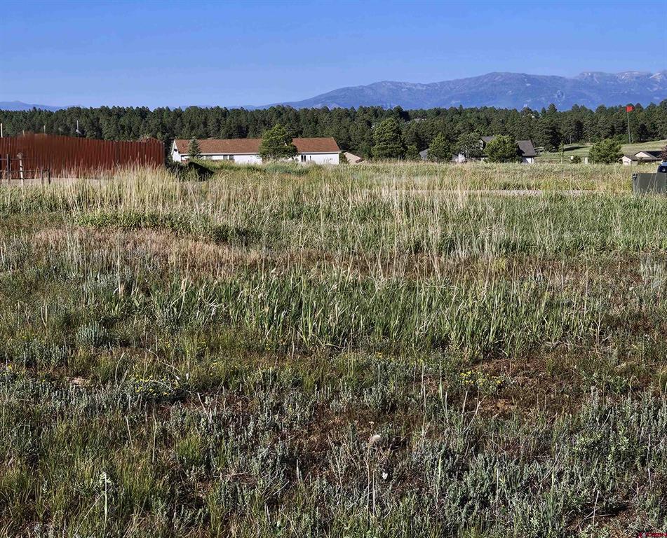 326 Lake Street Pagosa Springs CO 81147