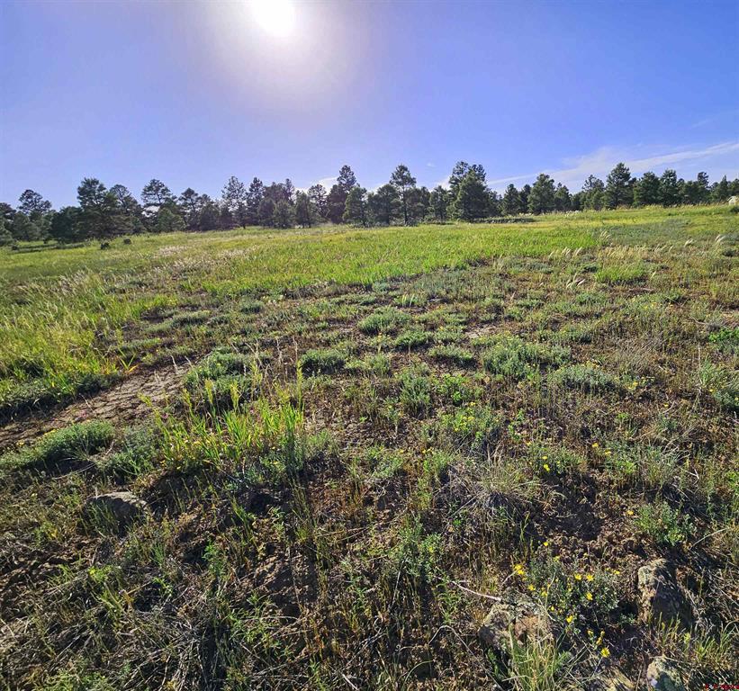 326 Lake Street Pagosa Springs CO 81147