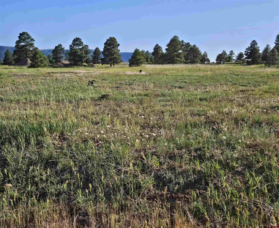 326 Lake Street Pagosa Springs CO 81147