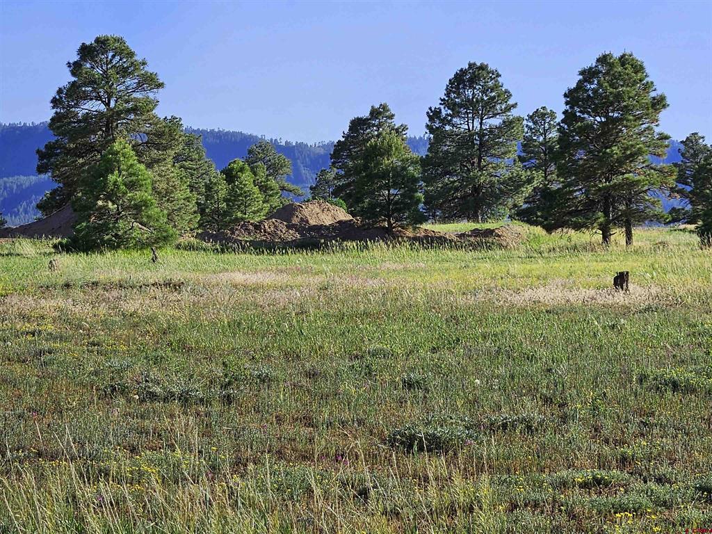 326 Lake Street Pagosa Springs CO 81147