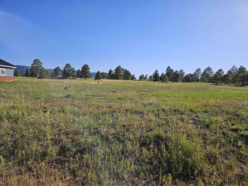 326 Lake Street Pagosa Springs CO 81147