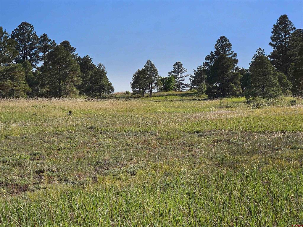 326 Lake Street Pagosa Springs CO 81147