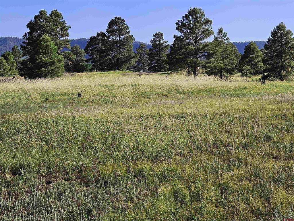 326 Lake Street Pagosa Springs CO 81147
